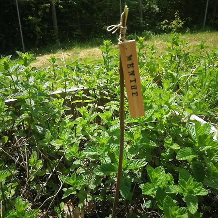 48 Degres Nord Landscape Breitenbach