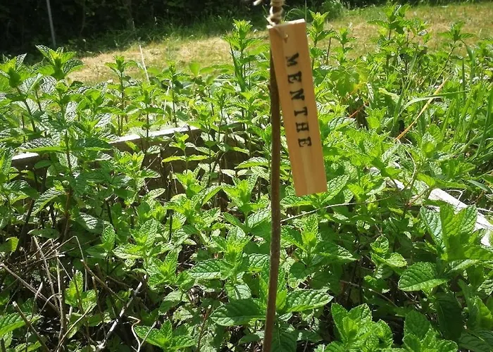 48 Degres Nord Landscape Breitenbach